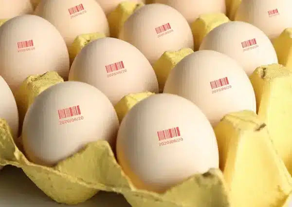 How to Print Data And Logo On Egg